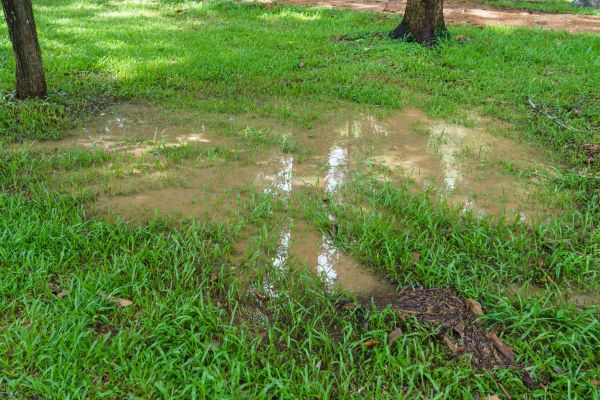 Storm Water Drainage Service in North Canton