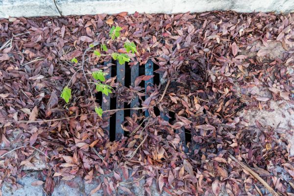 Yard Drain Unclogging in North Canton