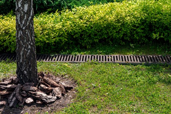 Garden Drainage Installation in North Canton
