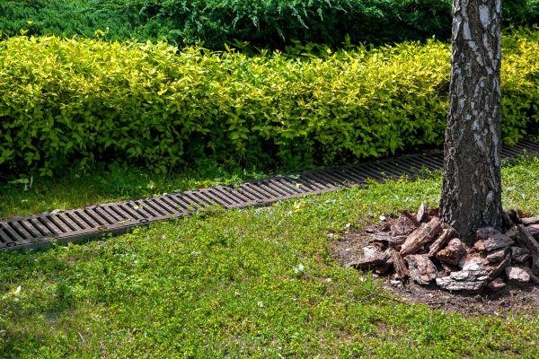 Residential Landscape Drainage in North Canton